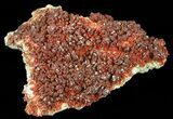Huge Plate Of Ruby Red Vanadinite Crystals - Wide #59958-1